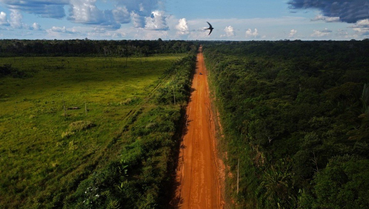 Imagem de capa para PL da Devastação: O desafio de Lula em proteger o meio ambiente