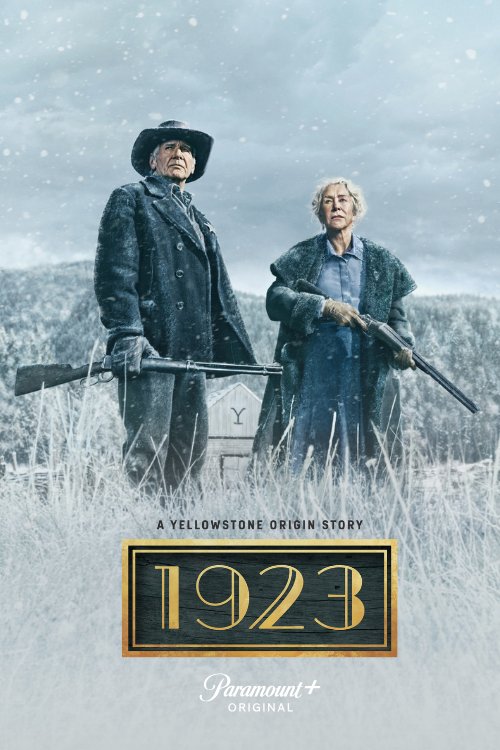 Imagem de capa para Insights dos criadores: Conheça as mentes por trás das melhores séries