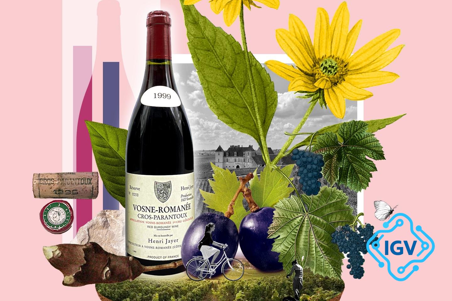 Imagem de capa para O vinho mítico que desafia o tempo: Cros-Parantoux e sua história de amor com a Borgonha