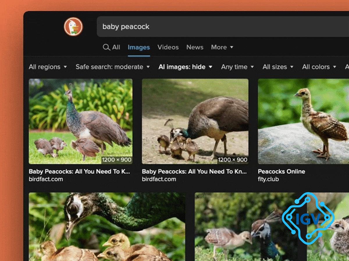 Imagem de capa para DuckDuckGo lança filtro para remover imagens geradas por IA nos resultados de pesquisa