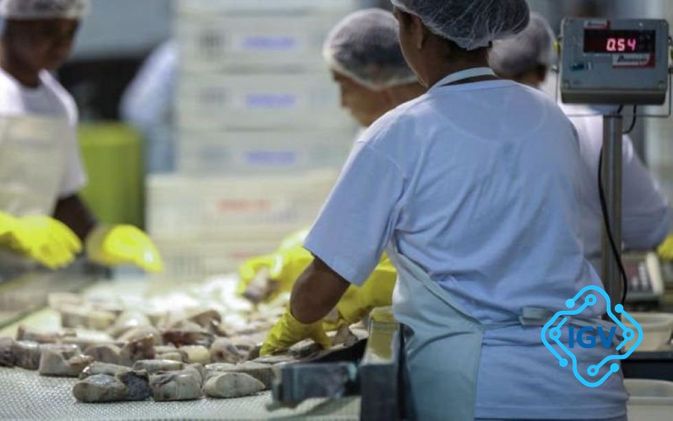 Imagem de capa para Impactos do Tarifaço Americano: Como Empresas de SC Estão Se Preparando