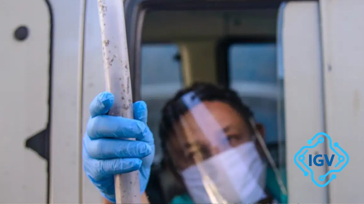 Imagem de capa para Maior fábrica de mosquitos do bem: como ela vai revolucionar a luta contra a dengue em Blumenau e Balneário Camboriú?