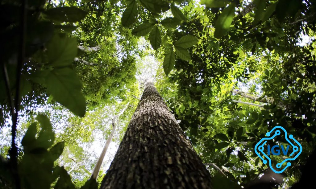 Imagem de capa para Novo projeto de licenciamento ambiental moderniza e desburocratiza o país