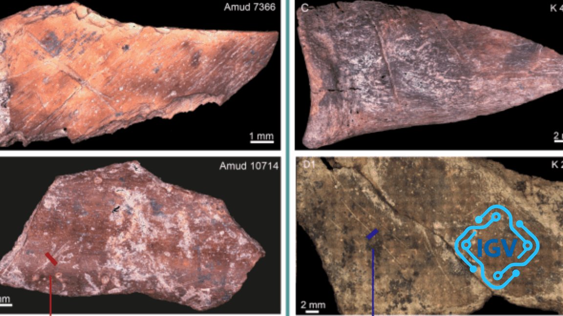 Imagem de capa para Neandertais tinham culturas alimentares diferentes apesar de viverem perto