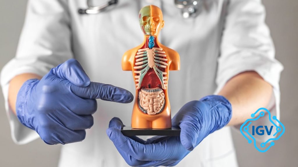 Imagem de capa para Câncer de colón e reto: saiba como prevenir essa doença comum