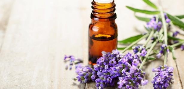 Imagem de capa para Descubra como a Lavanda pode mudar sua vida! 7 dicas para usar suas propriedades mágicas