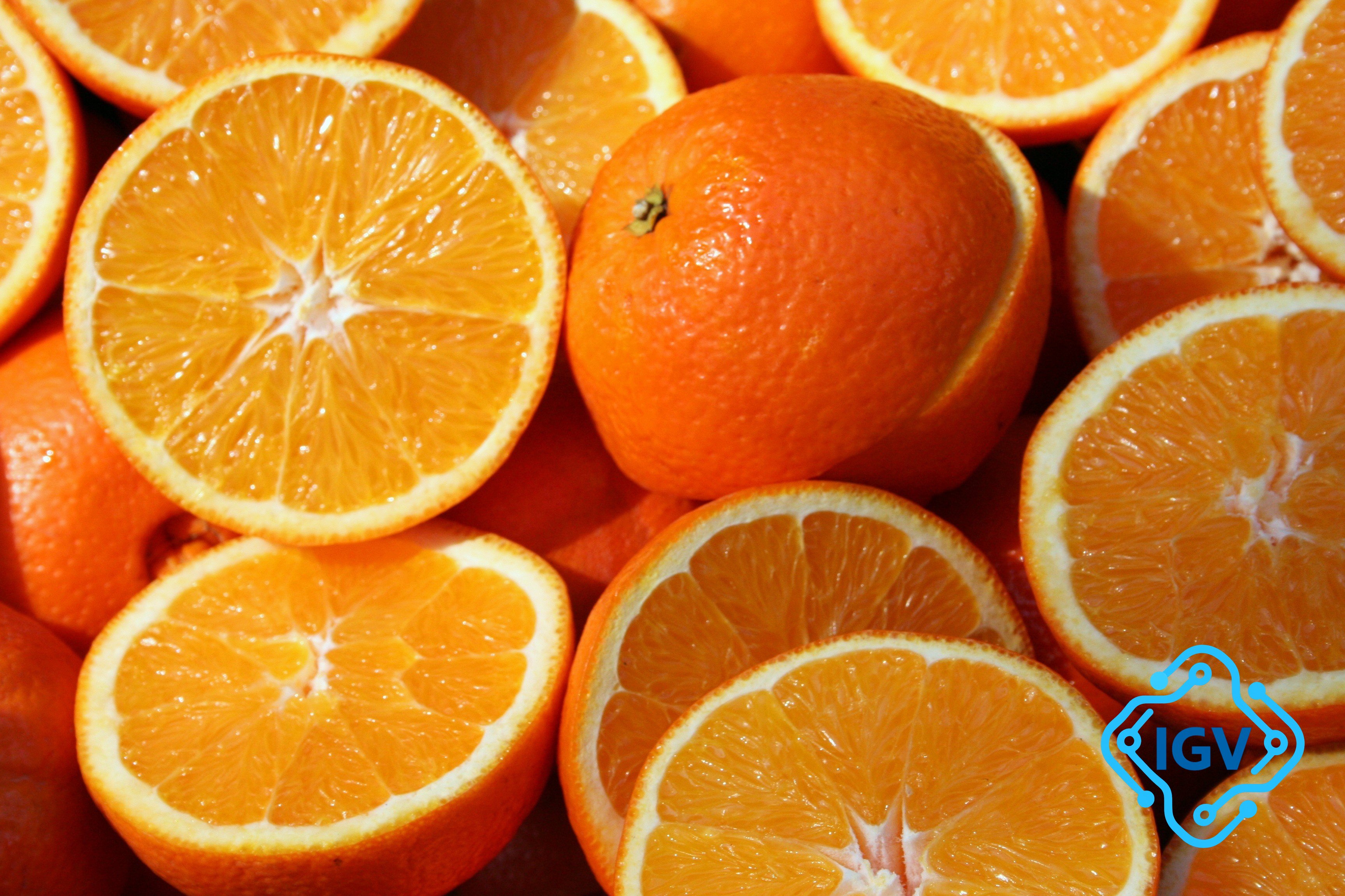 Imagem de capa para O caminho do suco de laranja brasileiro até os Estados Unidos