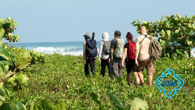Imagem de capa para Parque Nacional Corcovado: A Biodiversidade e os Desafios do Turismo