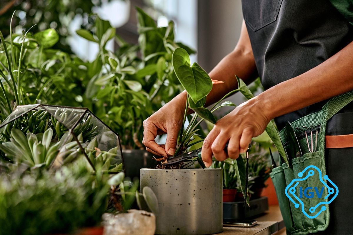 Imagem de capa para Descobra como as plantas percebem o mundo com seus incríveis 'sentidos'