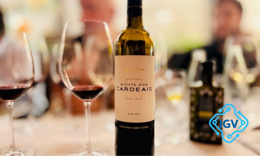 Imagem de capa para Vinhos Portugueses: A Nova Viticultura que Mistura Tradição e Modernidade