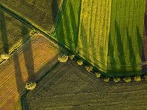 Imagem de capa para Trump impõe tarifas de 50% e força novos rumos no comércio Brasil-EUA